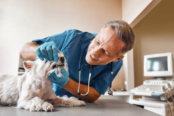 Best Emergency Tooth Extraction in Lexington, OH